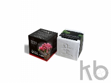 Подарочный набор «Вырасти Бонсай дома. Айва Японская»