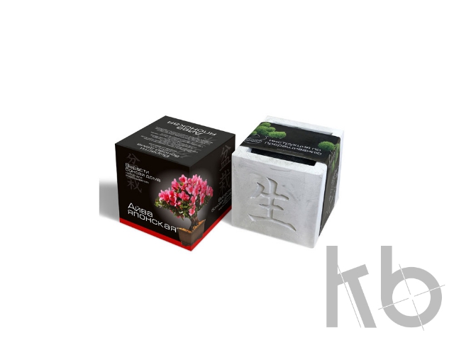 Подарочный набор «Вырасти Бонсай дома. Айва Японская»