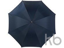 Polyester (210T) umbrella