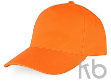 Бейсболка «Florida 350»