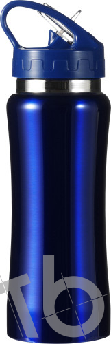 Stainless steel bottle