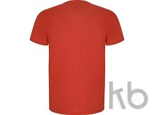 Спортивная футболка «Imola» мужская