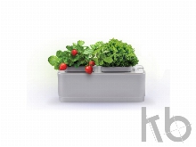 Компактный смарт-сад «iGarden»