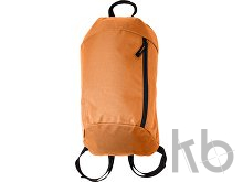 Polyester (210D) backpack