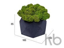 Кашпо бетонное со мхом «Бета»