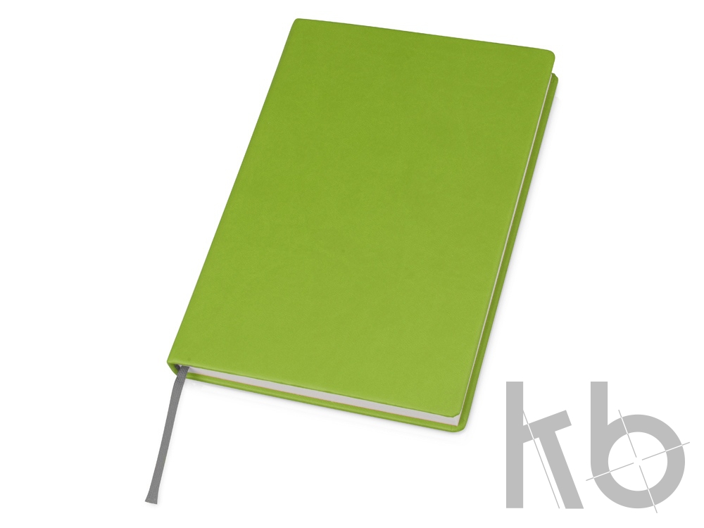 Ежедневник недатированный А5 «Lead AR»