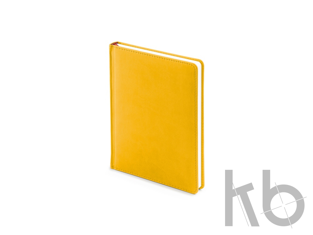 Ежедневник недатированный А6+ «Velvet»