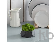 Кашпо бетонное со мхом «Альфа»