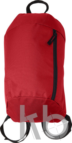 Polyester (210D) backpack