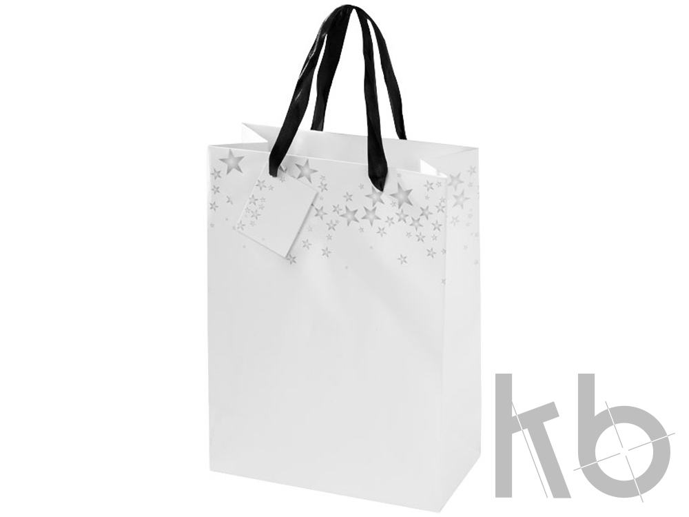 Пакет подарочный «Vixen L»