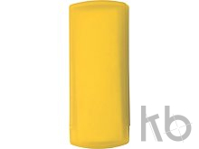 Plastic case with plasters