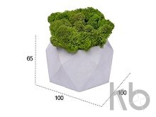Кашпо бетонное со мхом «Бета»