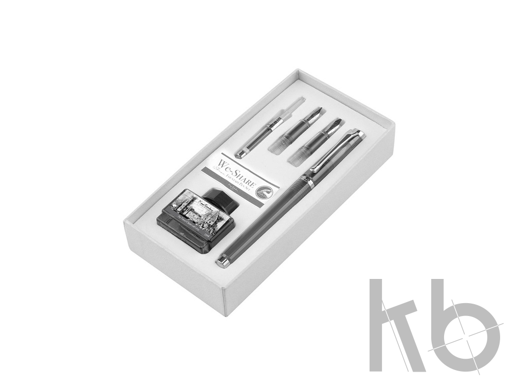 Набор «WE-Share»: ручка перьевая, сменные насадки, конвектор, чернила