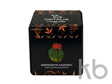 Набор для выращивания «Small village cube «Эхинокактус Альбинос»