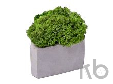 Кашпо бетонное со мхом «Гама»