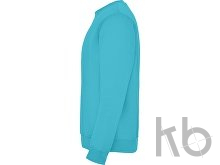 Свитшот с начесом «Clasica» унисекс