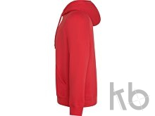 Толстовка с капюшоном «Vinson» унисекс