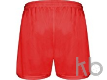 Спортивные шорты «Calcio» мужские