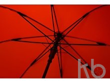 Зонт-трость полуавтомат «Wetty» с проявляющимся рисунком