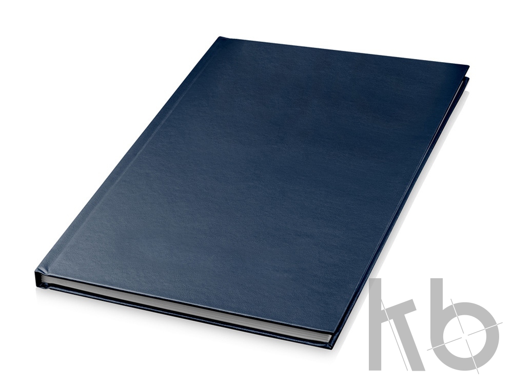 Блокнот A5 «Gosling»