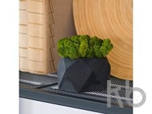 Кашпо бетонное со мхом «Бета»