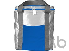 Polyester (420D) cooler bag