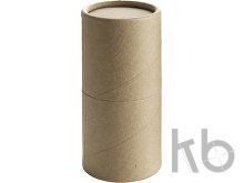 Cardboard tube with pencils