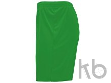 Шорты «Dortmund», мужские