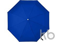 Pongee umbrella