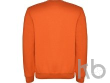 Свитшот с начесом «Clasica» унисекс