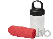 Охлаждающее полотенце «Remy» в контейнере