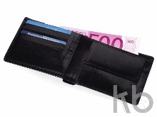 Портмоне  «Пегас»