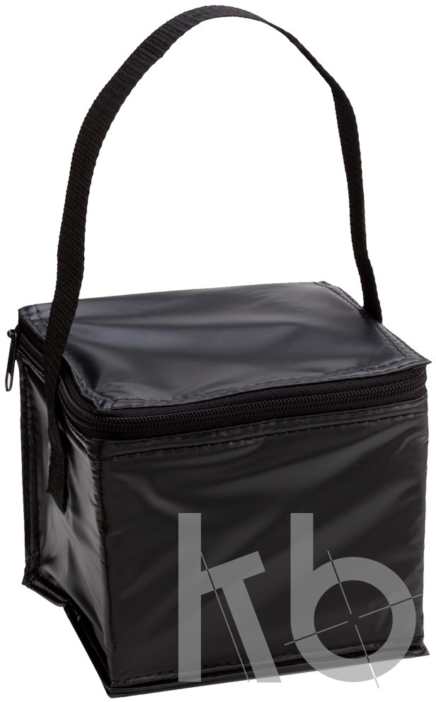 cooler bag