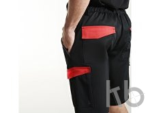 Шорты «Tahoe», мужские