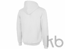 Толстовка с капюшоном «Amsterdam» мужская