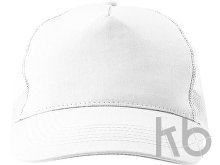 Cotton twill and plastic cap