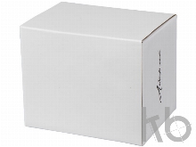 Наушники Bluetooth® беспроводные с зарядным чехлом