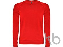 Свитшот «Annapurna» мужской