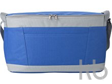 Polyester (600D) cooler bag