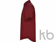 Рубашка «Aifos» мужская с коротким рукавом