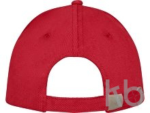 Бейсболка «Doyle»