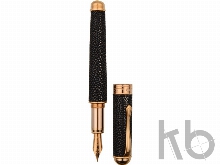 Ручка перьевая