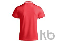 Рубашка-поло «Tamil» мужская