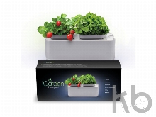 Компактный смарт-сад «iGarden»