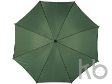 Polyester (190T) umbrella