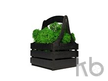 Композиция «Корзинка со мхом»