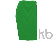 Шорты «Dortmund», мужские