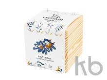 Набор для выращивания «Big village cube «Ель Голубая»