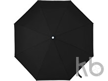 Pongee umbrella