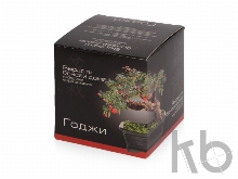 Подарочный набор «Вырасти Бонсай дома. Годжи»